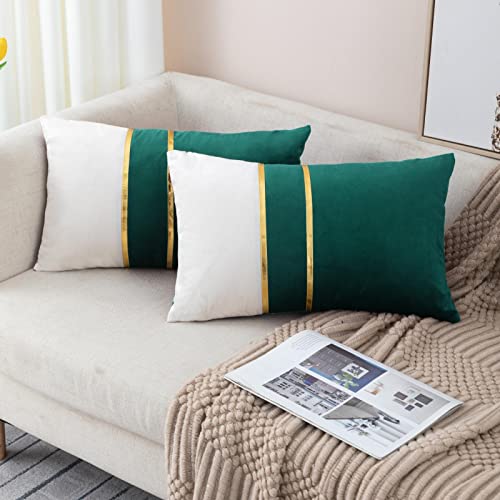 ZLINA Set of 2 Velvet Decorative Lumbar Pillow Covers Dark Green White Patchwork with Gold Leather Pillow Covers 12 ?? 20 Inch Cushion Covers Decor Living Room Sofa Bedroom Car
