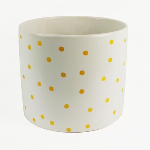 Leaf Ceramic Geometric Planters