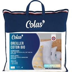 Colas Normand Organic Cotton Pillow - 65 x 65 cm - Organic Cotton - Filling from Recycled Bottles - Environmentally Friendly Made in France - White 73130233