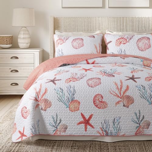 Soul & Lane - Coastal Quilt Set, Nautical Beach Bedding, Twin with 1 Sham - Sea Shell Comforter Set, Lightweight Ocean Quilted Bedspread, Seaside Treasures Beachy Coverlet, Starfish Seashell Bedding
