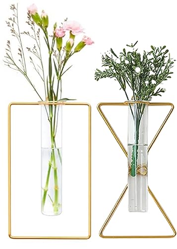 2 Pack Nordic Wall Vase,Gold Geometric Vase Hanging Hydroponic Planter,Wall-Mounted Metal Glass Tube Bud Vase Decorative for Centerpieces Wedding Home Decor(gold 5)