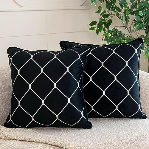 WACOMECO Silver Throw Pillow Covers, Pack of 2 Soft Velvet Decorative Cushion Covers for Couch Sofa Home Decoration, Black, 20x20 Inch