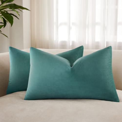 JUSPURBET Velvet Pillow Covers 14x24 Set of 2 Decorative Couch Cushion Covers with Hidden Zipper Soft Throw Pillow Cases for Modern Home D??cor,Emerald