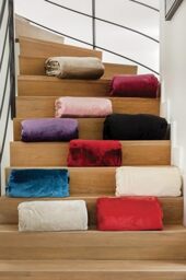 Toison d'or Velvet Microvelvet Polyester Blanket Plain 240 cm x 260 cm Size, Ivory
