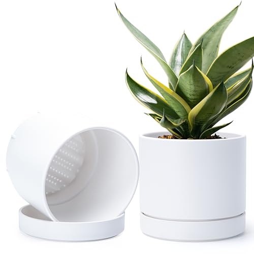 Phoenix Vine 8 Inch Planter Pot with Drainage Hole & Saucer, Deep Water Catch Tray, Straight Cylindrical Round Pot for Plants, Matte White, Pack of 2, 23-B-T-2