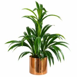 Leaf 65cm Artificial Bamboo Shrub Plant with Brushed Copper Planter