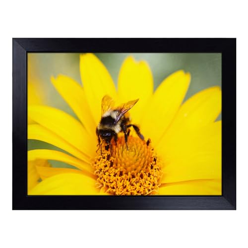 Lap Tray with Bean Bag Cushion, Bee Collecting Pollen Yellow Flower - Handmade in the UK, Raised Wooden Edge, Padded Cushion, Heat-Resistant Wipe-Clean Surface, for Meals, Laptops and Crafts