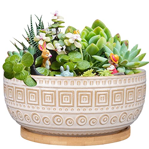 G EPGardening 20.5CM Ceramic Succulent Planter Pots Round Shallow Bonsai Planter Pot for Indoor Plants with Drainage and Bamboo Saucer White