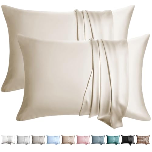 WLOSJ 100% Silk Pillow Cases 2 Pack Standard Size Mulberry Silk Pillowcase for Hair and Skin Set of 2 Highest Grade 6A Silk Soft Breathable Cooling with Hidden Zipper, Beige
