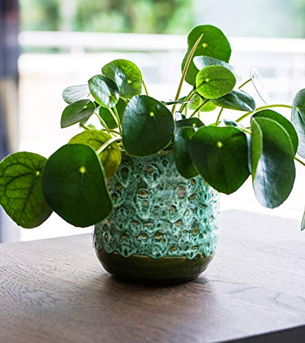 Ivyline Emerald Reactive Glaze Planter H16Cm D16Cm
