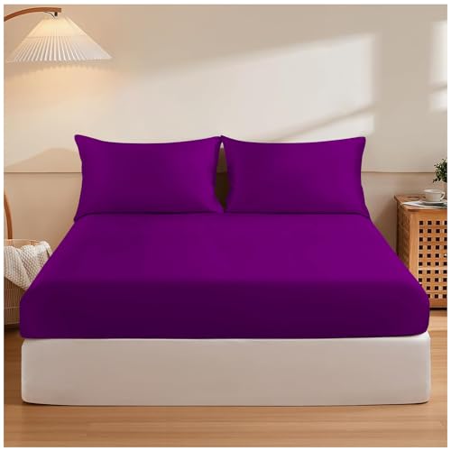 GC GAVENO CAVAILIA Easy Care Polycotton Fitted, Plain Dyed Bed Sheets OR Housewife Pillowcases 2 Pack, Polyester-Cotton, Berry, Single