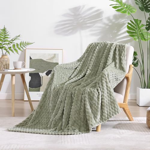 "Monbix Sage Green Fleece Throw Blanket for Couch- Room Decor Soft Cozy Blankets for Women,Lightweight Fuzzy Fleece Flannel Bed Blanket Suitable for All Seasons(60""??80"",Sage Green)"
