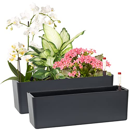 GardenBasix Extended Self-Watering Planters Set of 2 Flower Pots, 14 x 40 cm, Modern Decorative Indoor Garden Pot for All Plants, Flowers and Herbs