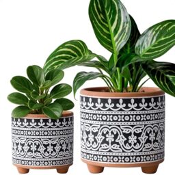 D'vine Dev Set of 2 Terracotta Planter Pots, 4 Inch & 6 Inch, Design Plants Pot with Drainage Hole, Midnight Lace, Terracotta/Black, 31-953-F-2