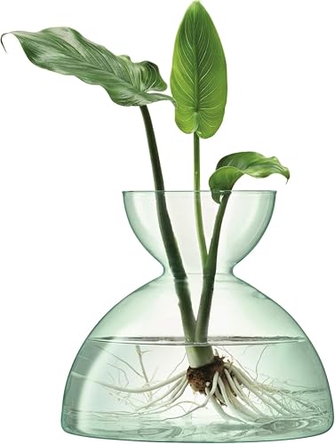 LSA International G1584-18-161 Canopy Recycled Vase Size: 18 cm, Glass
