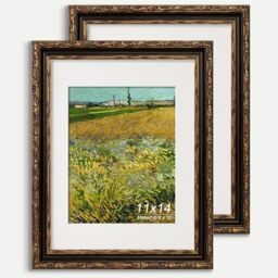 GiftMust 11x14 Picture Frame, Ornate Embossing Frame with Paper Mat and Real Glass, Fit for 11x14 without Mat or 8x10 with Mat, Wall Mounting Display for Art Prints, Bronze and Antique Gold, 2 Pack