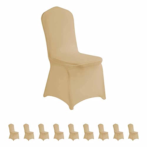 LZY 10pcs Spandex Chair Cover Stretch Slipcovers for Wedding Party, Dining Banquet Chair Decoration Covers (Champagne, 10)
