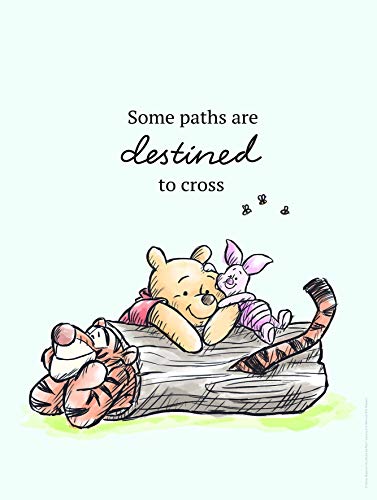 Komar Disney Wall Picture Winnie the Pooh Path - Children's Room Decoration Art Print - Size 30 x 40 cm (Width x Height) - Without Frame - WB062-30 x 40 cm
