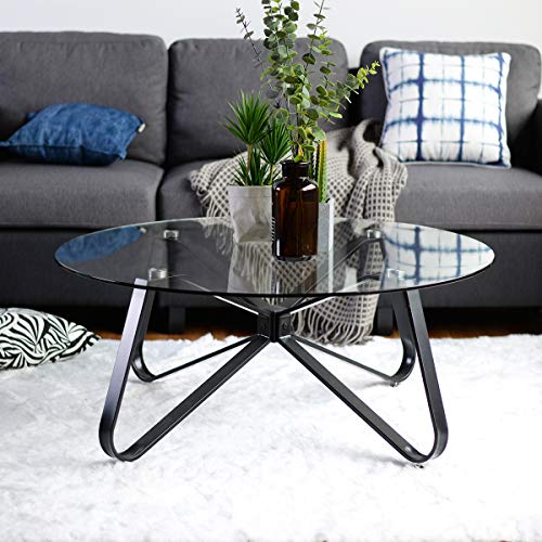 FurnitureR Living Room Tables, Minimalist Round Coffee Table in Tempered Glass, with Smooth Rounded Edges, Metal Coffee Table for Home, Living Room, Patio, Garden, 80 x 80 x 40 cm