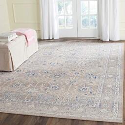 Safavieh Traditional Indoor Woven Rectangle Area Rug, Patina Collection, PTN326, in Taupe / Taupe, 122 X 183 cm for Living Room, Bedroom or Any Indoor Space