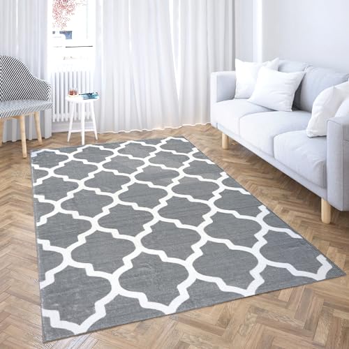 Comart, Shedir Home Decor Soft Short Pile Rug for Living Room Bedroom Modern Elegant Design Classic Contemporary Decor Printed Grey with White Decor 60x120cm