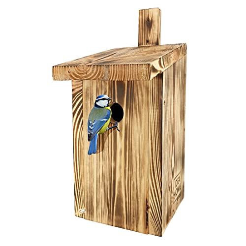 LEVIATAN Paridae Nesting Box - Nature for Great Tit 33 mm - Solid Wood I Ready-to-Use, No Assembly Required - Screwed Nesting Boxes for Birds - Tit Box, Bird House - Weatherproof