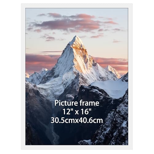 Ditwis 30x40 cm Photo Frame White, 16x12 inch Poster Frame for Horizontal or Vertical Wall Display in Living Room, Office, Gallery