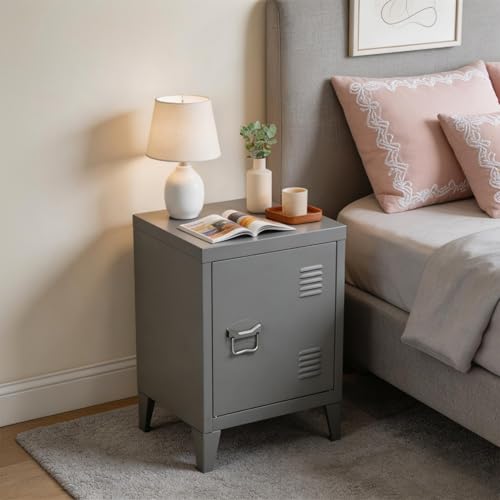 MEUBLE COSY Bedside Table with Door and Storage Shelf, Nightstand for Bedroom, Metal, Industrial, Grey