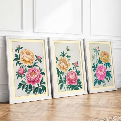 Peony Studies Botanical Set of 3 Framed Wall Art Prints A3 (42×29.7cm)