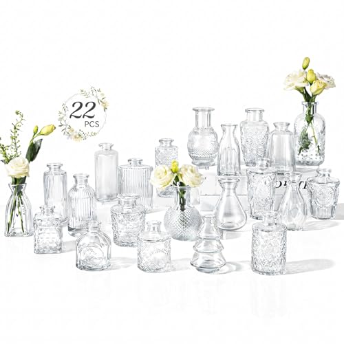 RUCKAE Bud Vases in Bulk 22 Clear Glass Small Vases Flower Vase Bulk for Centerpiece Table Wedding Decorations Home Decor Party(Transparent)