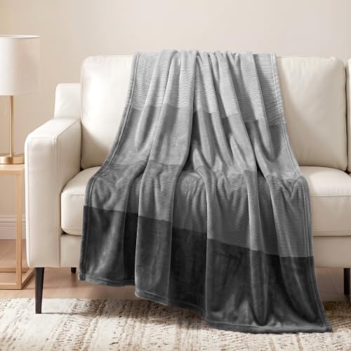 Pavilia Gray Ombre Fleece Twin Size Bed Blanket, Soft Plush and Cozy for Sofa, Couch - Lightweight Gradient - Gift Decorative Blanket, 60x80