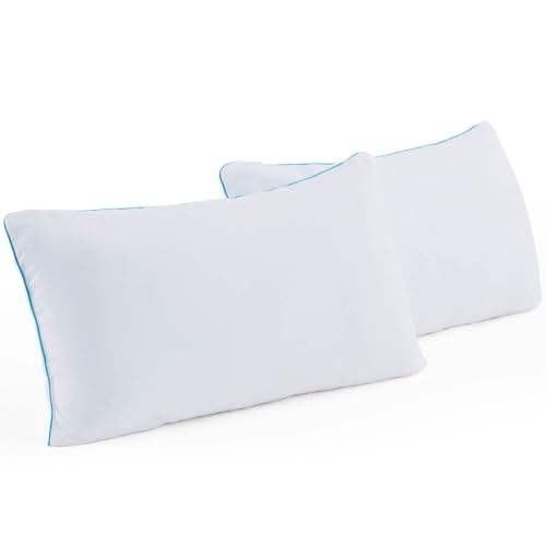 Linenspa Shredded Memory Foam Pillow - 2 Pack