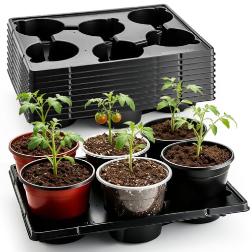 "RooTrimmer 6 Cell Round Nursery Pot Trays for 6 Inch Pots, Thickened Sturdy Seedling Pot Shuttle Tray, Durable Nursery Pots Carrying Tray for Holding 6 Inch Plastic Plant Pots(17.08""??13.14"", 10-Pack)"