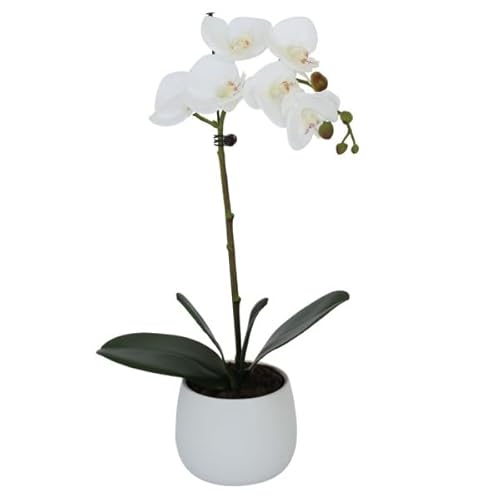 Elegant Single Stem White Real Touch Artificial Potted Orchid (46cm) In Round White Ceramic Pot