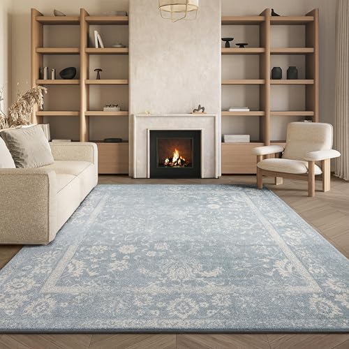 Safavieh Distressed Rug for Living Room, Dining Room, Bedroom - Adirondack Collection, Short Pile, in Slate and Ivory, 240 X 300 cm