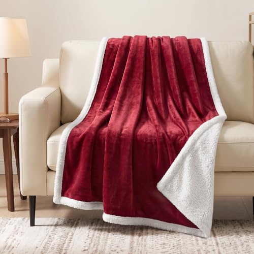 PAVILIA Sherpa Fleece Throw Blanket for Couch, Twin Size, Maroon Red, Plush Soft Fuzzy Sofa Blanket, Cozy Reversible Winter Throw for Women Men, 60x80 Inches