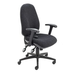Office Hippo Physio Approved Desk Chair, Ergonomic Home & Office Chair With Adjustable Seat, Back & Lumbar Pump For Comfort & Support, Computer Chair With Flip Up Arms - Charcoal