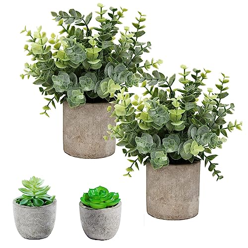 Flojery Small Fake Plants Eucalyptus Potted Mini Artificial Boxwood Rosemary Greenery in Pots Faux Herbs House for Indoor Tabletop Set of 4 (Potplants-PT-DR)