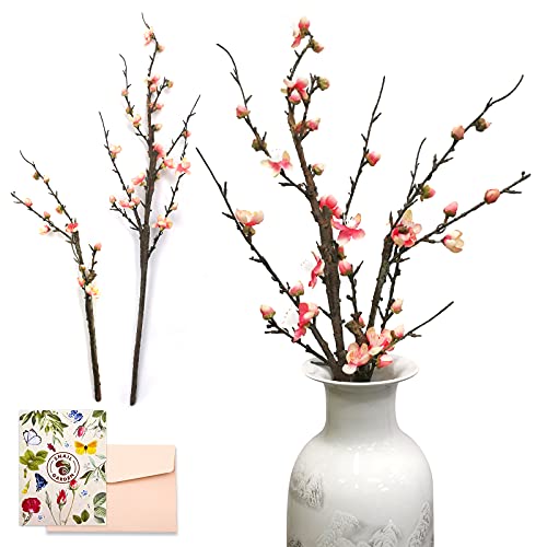 "SNAIL GARDEN 2Pack Artificial Plum Blossom Flowers, Faux Long Stem Plum Blossom Bouquet with 13 Heads Full Bloom Plum & 23 Silk Flower Buds-Fake Plum Branches for Home Table Decoration (33.5"", 21.2"")"