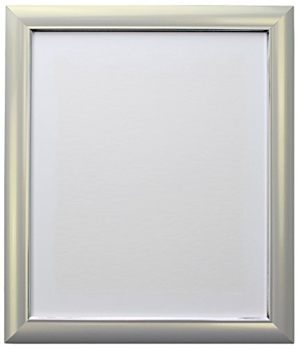 FRAMES BY POST Picture Photo Frame, Soda Silver, 36 x 24-Inch
