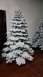 6ft Alaskan Pine Real Christmas Tree covered in Snow Dust