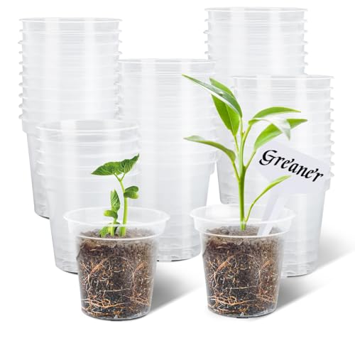 GREANER 60 Pcs Nursery Pots for Plants, 2.4 Inch Small Starter Seed for Seedling, Transparent Plastic Plant Pots with Bonus 20 Plant Labels-Clear