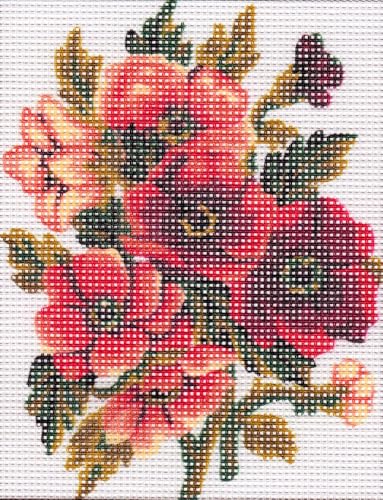 Collection D'Art Tapestry Kit Flowers Anemones, 100% Cotton, Multi-Colour, 20 x 25 x 0.10 cm