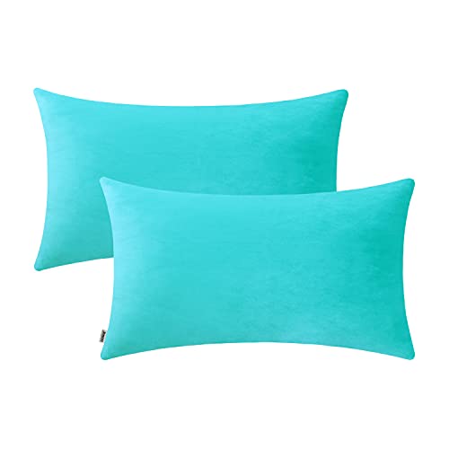 Jeneoo Comfy Soft Thick Velvet Lumbar Throw Pillow Covers Decorative Solid Rectangle Couch Cushion Cases for Bedroom Sofa Decor (Turquoise, 12 x 20 Inches, 2 Pieces)
