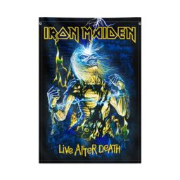 Grupo Erik Decorative Flag - Iron Maiden Gifts - 27.5 x 39.3 inches - 70 x 100 cm Wall Tapestry, Wallscroll, Hanging scroll, Poster, Kakemono - Wall Decor, Iron Maiden Merchandise