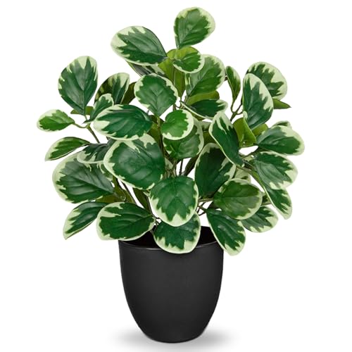 "Villa Como 14.5"" Artificial Plants Indoor Home Decor, Fake Potted Silk Plants for Shelves Living Room Decorative, Small Artificial Office Desk Plants in Pots, Faux Peperomia Hope Tropical House Plant"