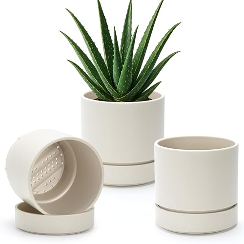 Phoenix Vine 6 Inch Planter Pot with Drainage Hole & Saucer, Deep Water Catch Tray, Straight Cylindrical Round Pot for Plants, Oatmeal, Pack of 3, 23-E-S-3