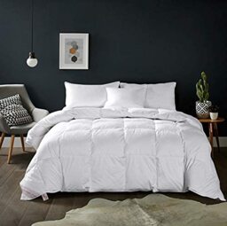Maple Down Soft Queen Size Comforter Duvet Insert-Down Alternative Comforter Quilted with Corner Tabs-Lightweight Breathable Brushed Microfiber Machine Washable (White,90”x90”)