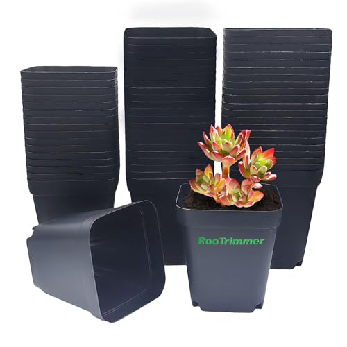 RooTrimmer 10 cm 4 inches Square Nursery pots 60P, Seedling Plastic Seeds propogation Growing pots Black