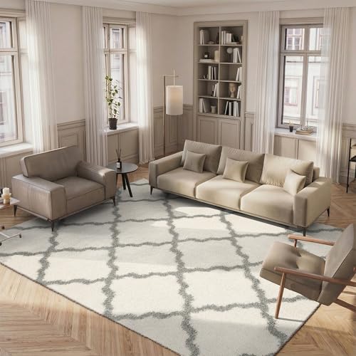 Safavieh Shaggy Indoor Woven Rectangle Area Rug, Dallas Shag Collection, SGD257, in Ivory / Grey, 183 X 274 cm for Living Room, Bedroom or Any Indoor Space